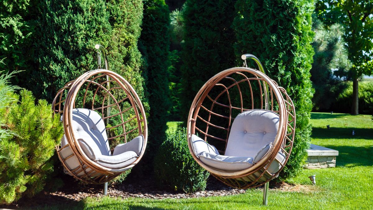 Two,Hanging,Chairs,In,A,Garden,On,Sunny,Summer,Day.
