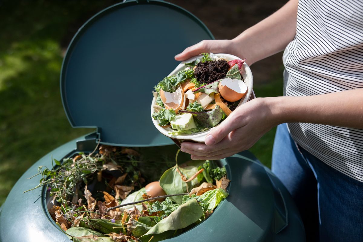 Close,Up,Of,Woman,Emptying,Food,Waste,Into,Garden,Composter