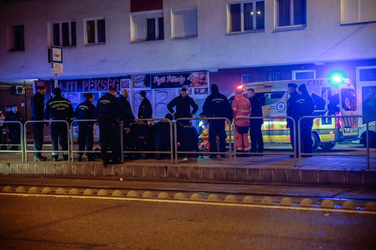 Késsel támadtak rendőrökre Budapesten, egyikük meghalt