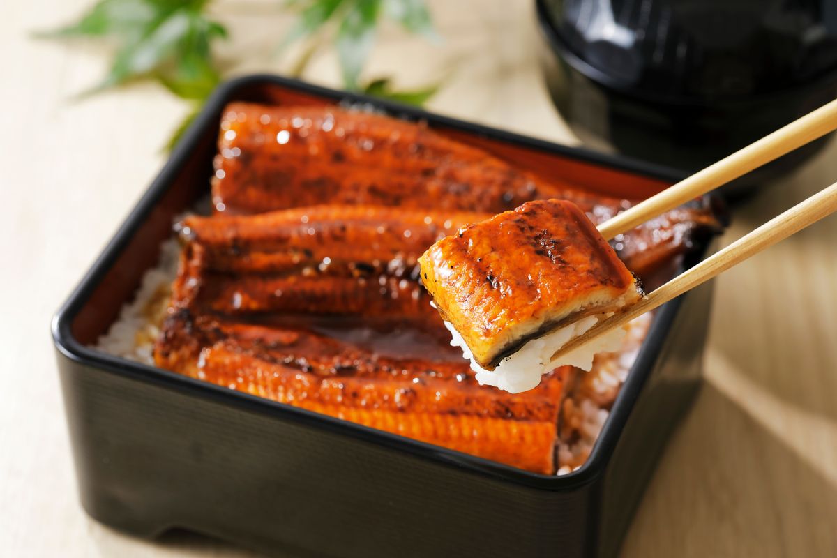Unagi,Grilled,Eel,Over,Rice,With,Japanese,Sauce