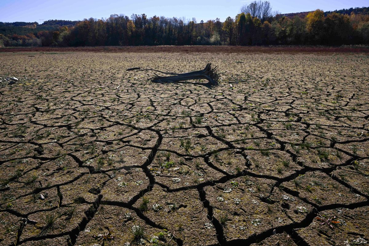 klímaváltozás, 2024, éghajlatváltozás, természeti katasztrófák