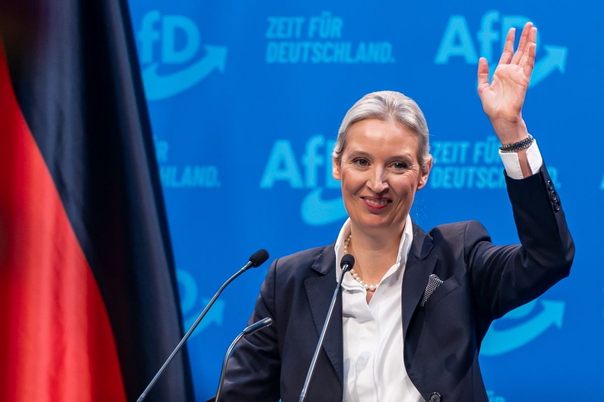 német migrációs politika, AfD, közvélemény-kutatások, Alice Weidel