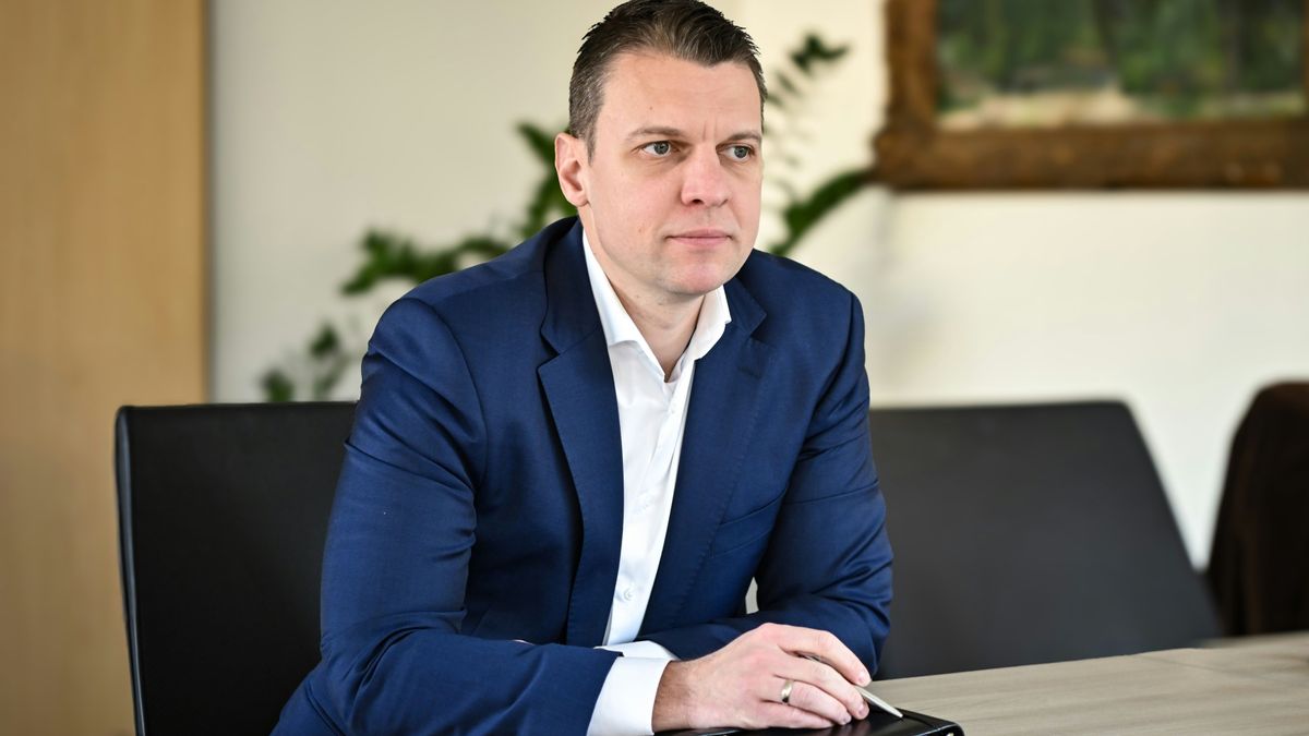 menczer tamás