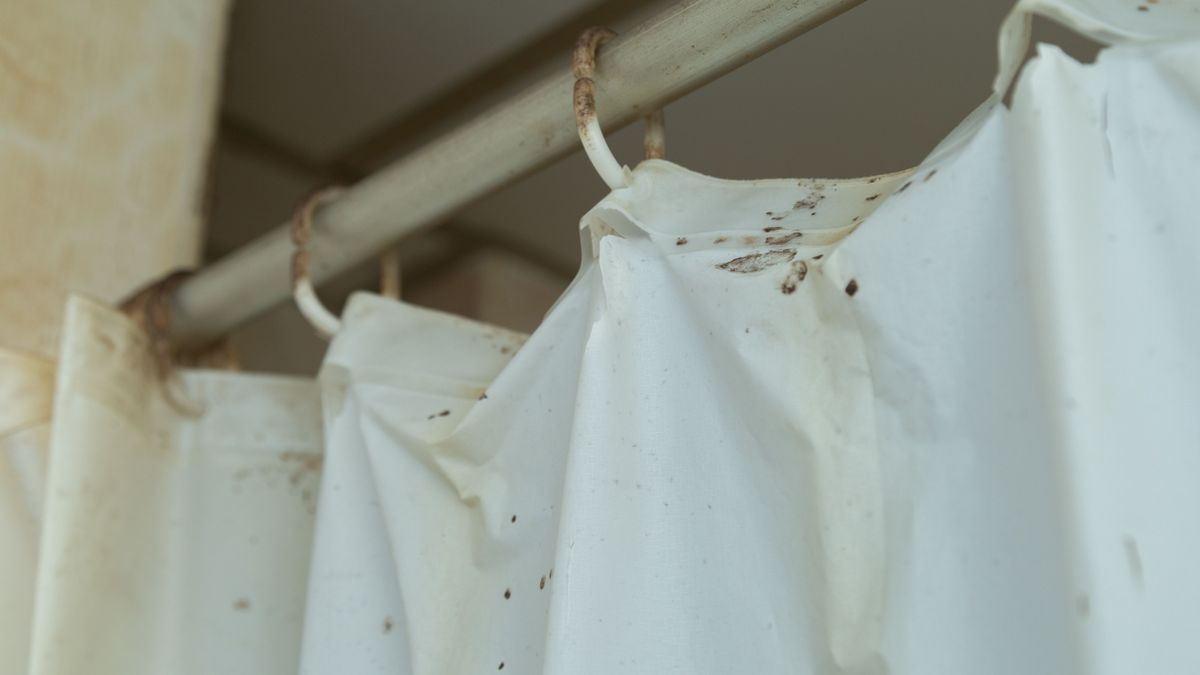 Stains,On,Plastic,Curtains,In,The,Bathroom.molded,Plastic,Curtains.