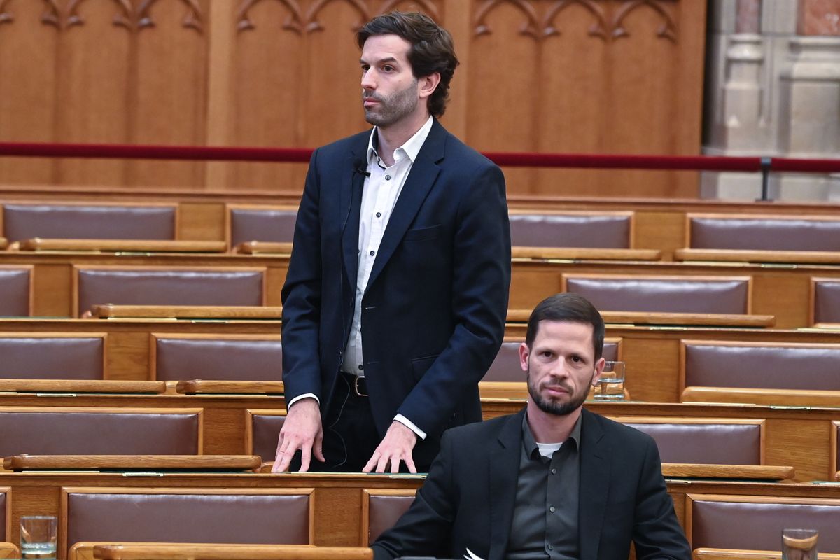 Fekete-Győr András, Tisza Párt, Momentum, Magyar Péter, 2026-os választások