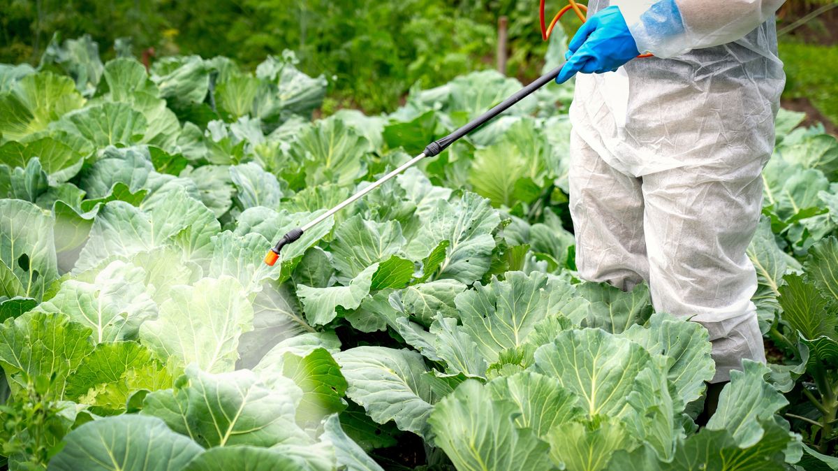#PlantHealth4Life kampány, növények