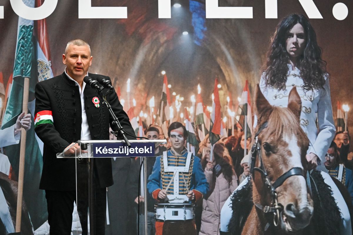 RUSZIN-SZENDI Romulusz, nemzetbiztonsági bizottság, Ukrajna, vizsgálat