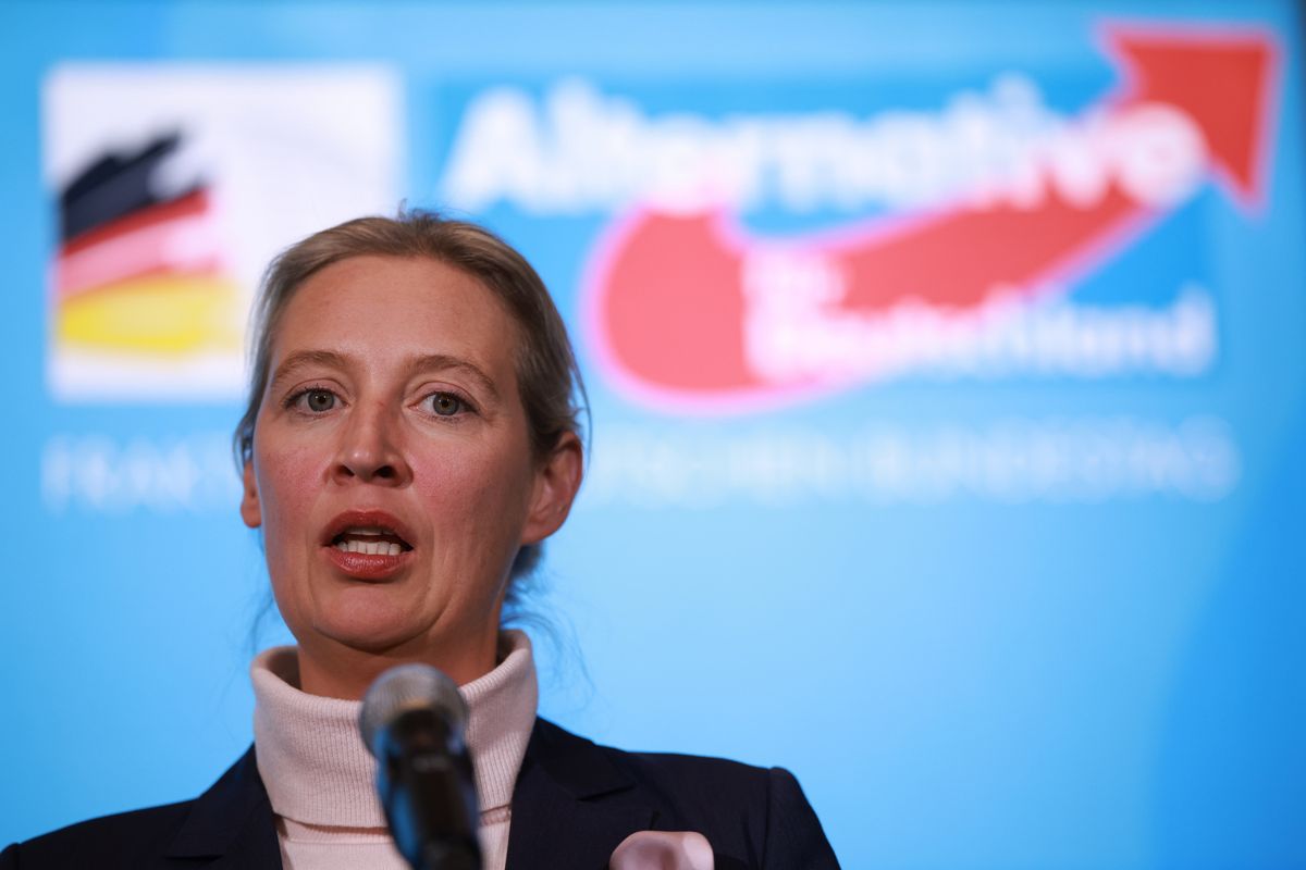 Alice Weidel, AfD