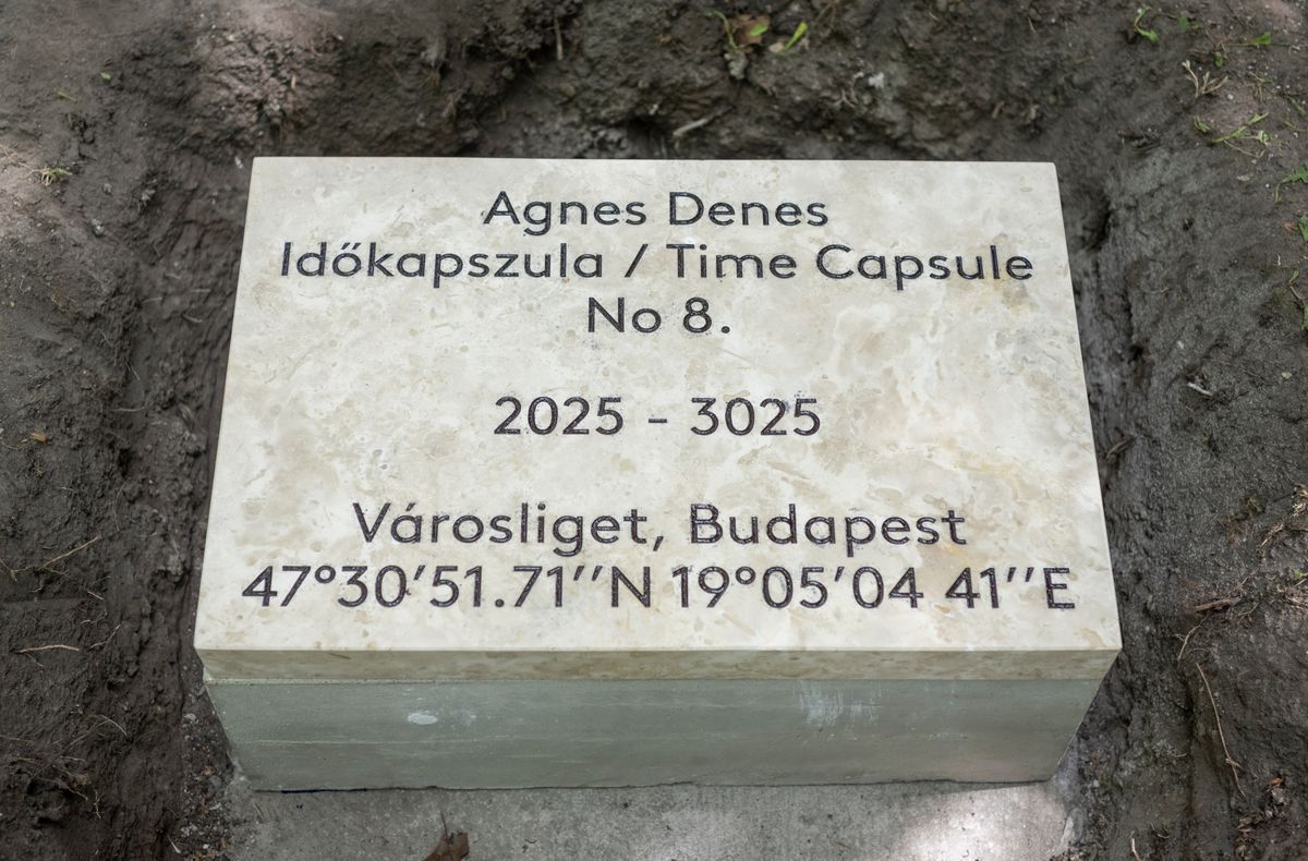 Agnes Denes, időkapszula, Városliget
