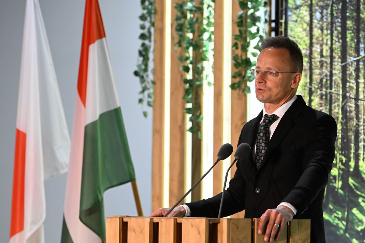 SZIJJÁRTÓ Péter