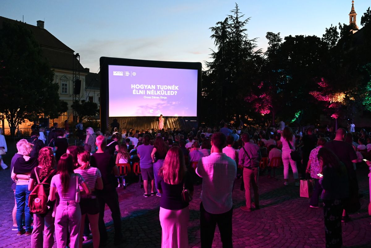 MOZ.GO Fesztivál, Darvas Iván, Makk Károly, Svenk