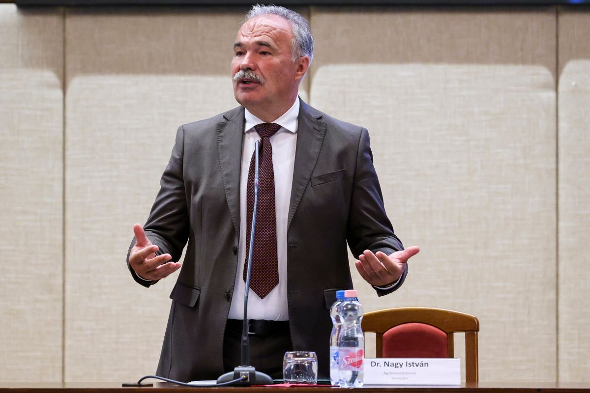 NAGY István