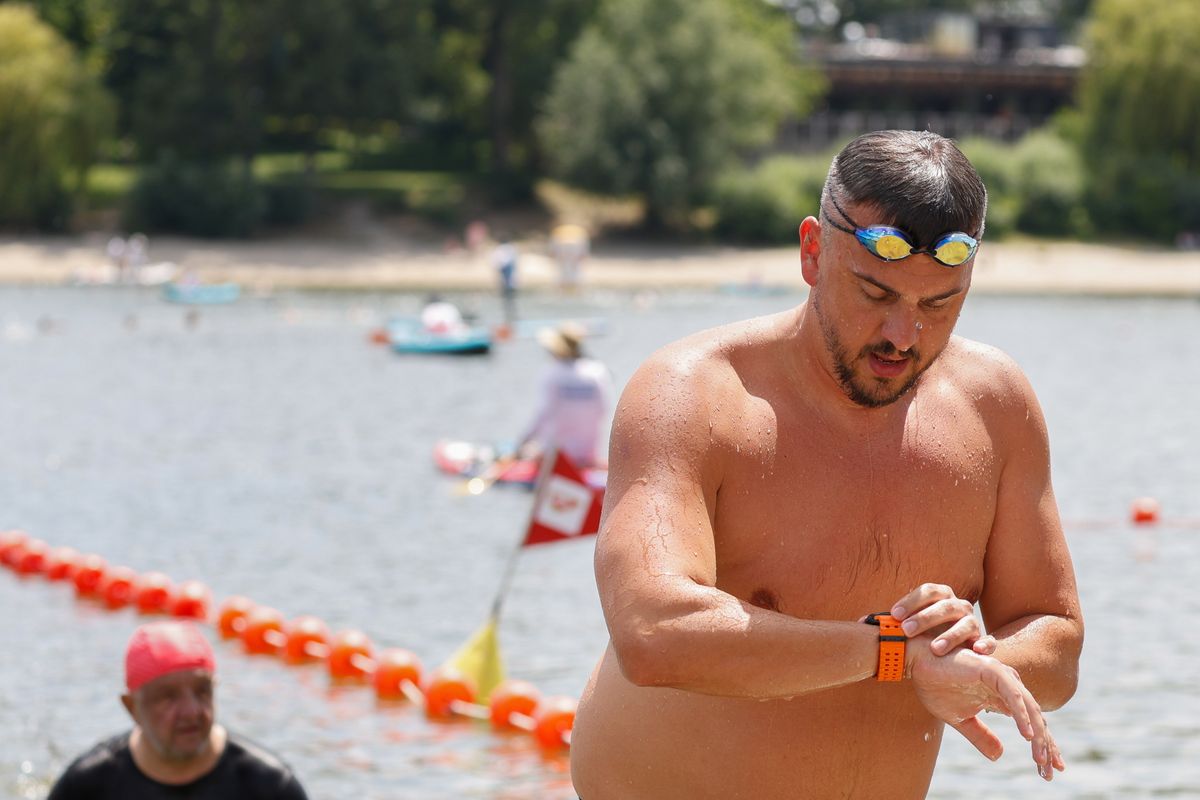 CSEH László
