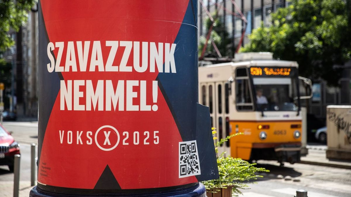 Voks 2025, Ukrajna EU tagsága