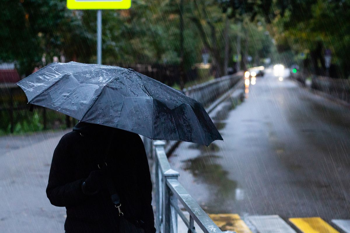 Portrait,Of,A,Person,Holding,Black,Umbrella,Outside,During,The