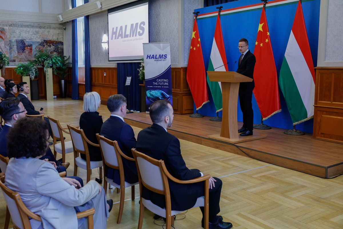SZIJJÁRTÓ Péter, munkahely