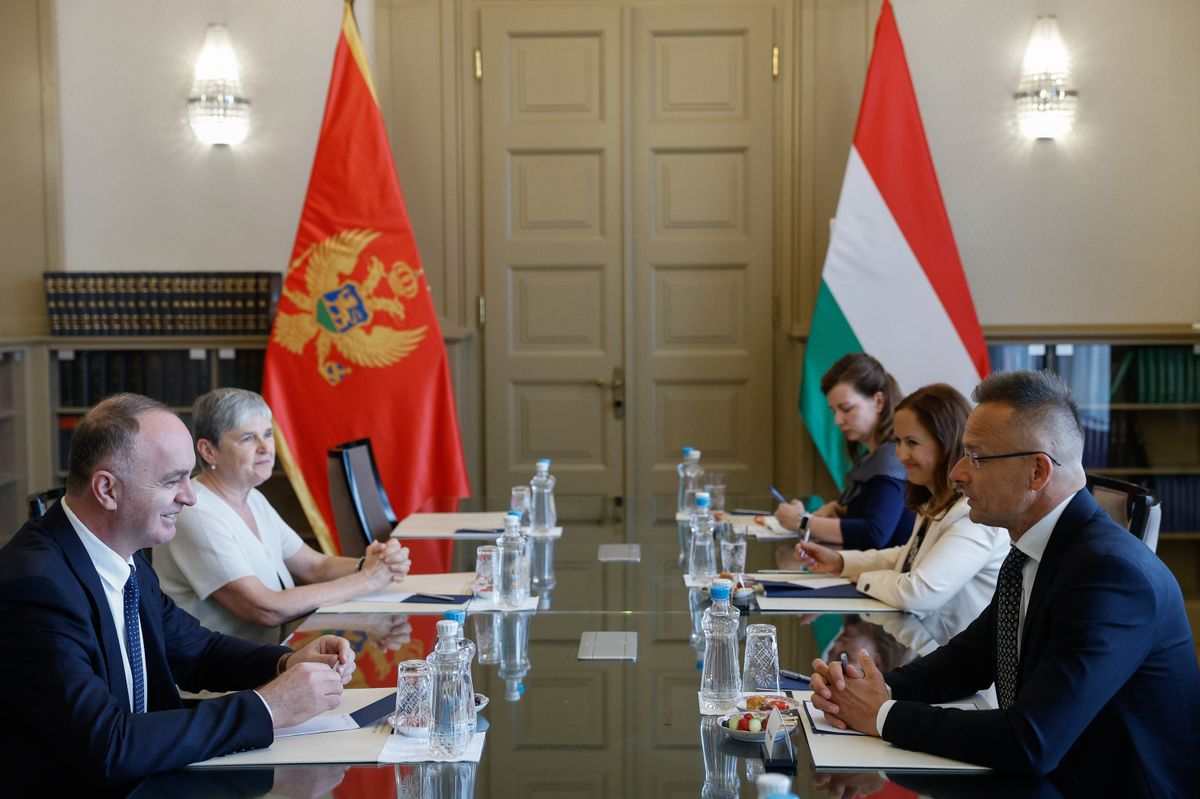SZIJJÁRTÓ Péter