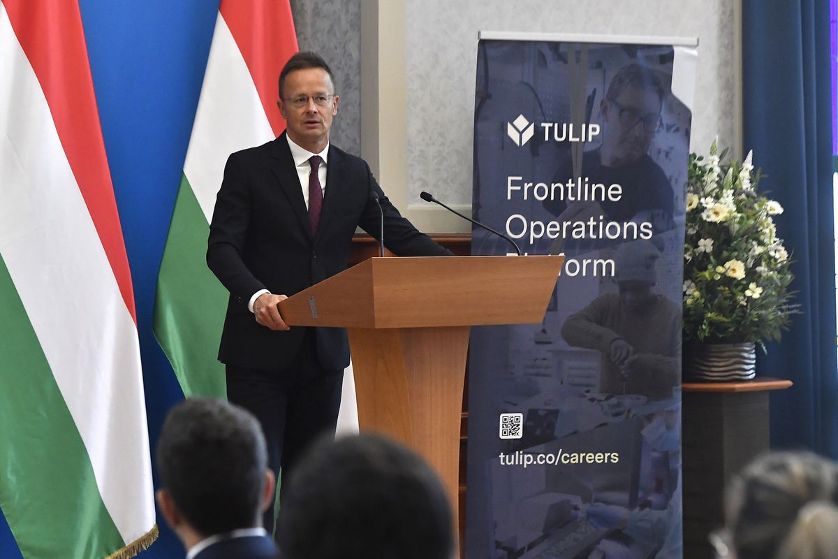 SZIJJÁRTÓ Péter