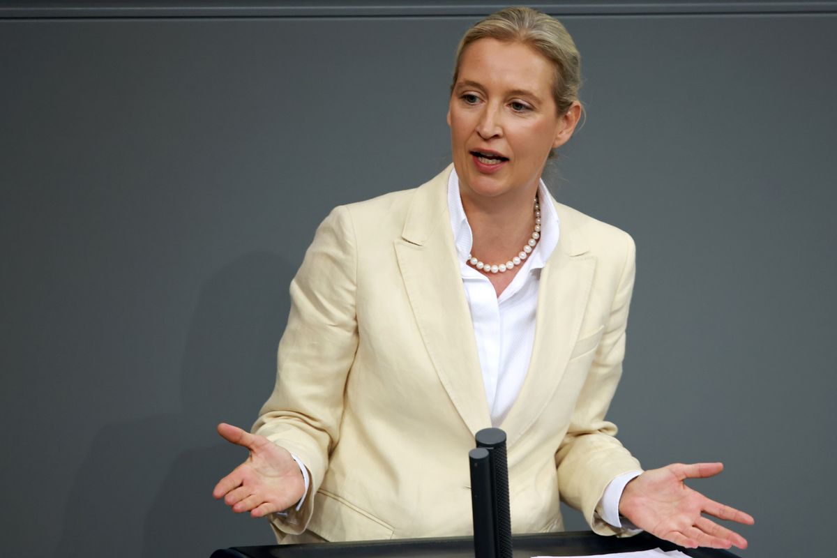 Alice Weidel, AfD