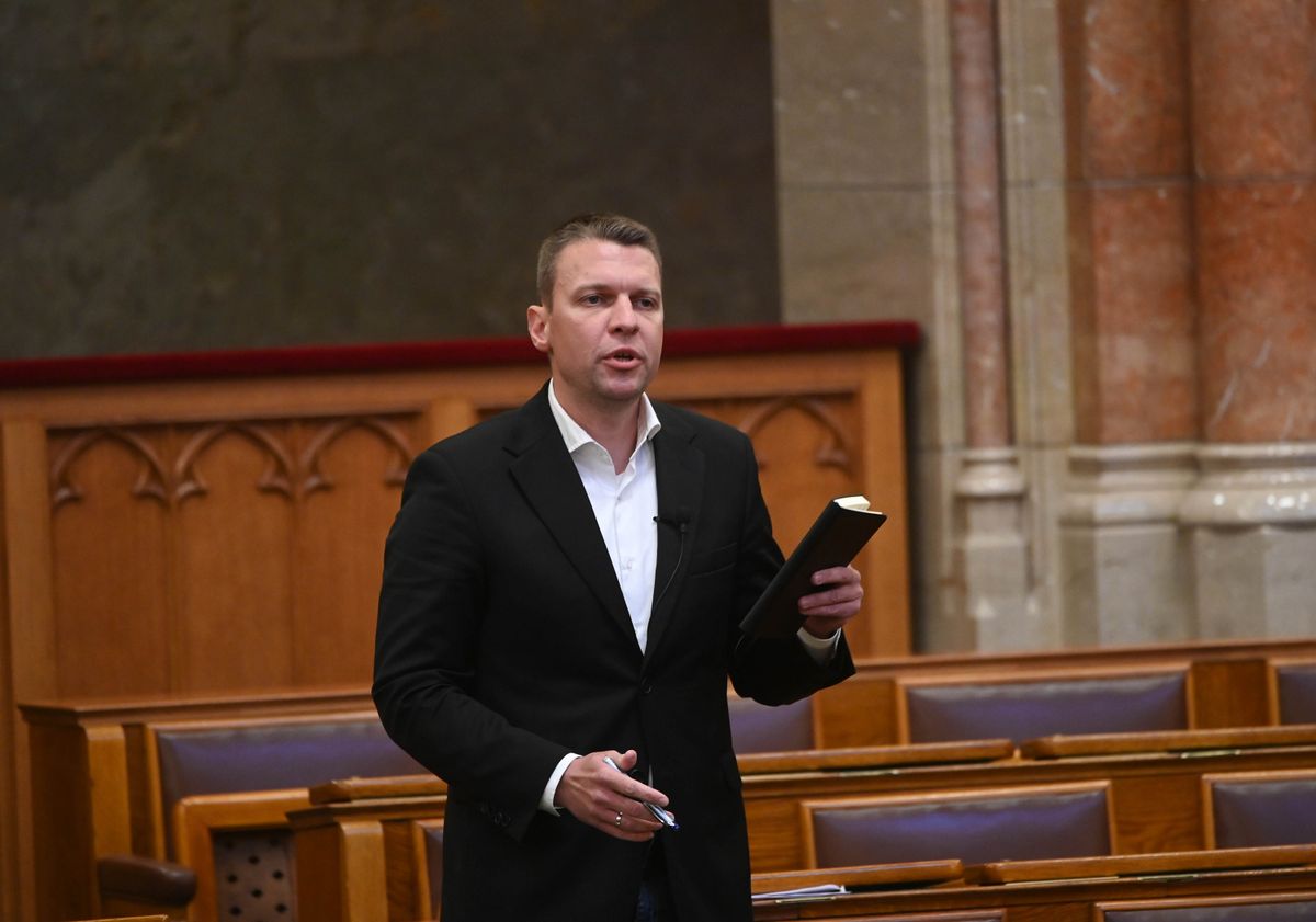MENCZER Tamás